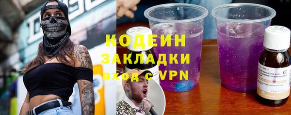 прущие грибы Няндома