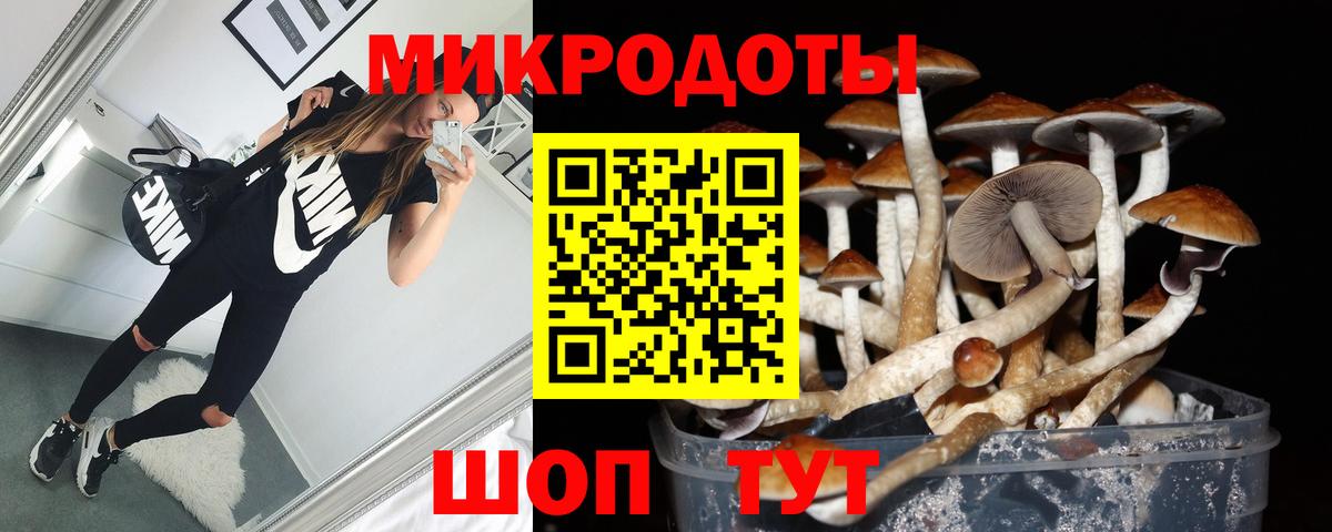 как найти закладки  Вход с VPN  Ярцево  Псилоцибиновые грибы ЛСД 
