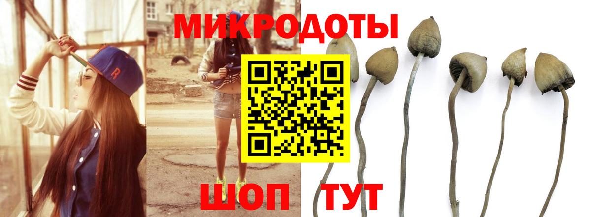 Галлюциногенные грибы Cubensis Ярцево